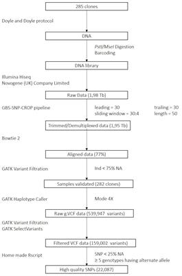 A genomic dataset integrating genotyping-by-sequencing, SolCAP array and PCR marker data on tetraploid potato advanced breeding lines